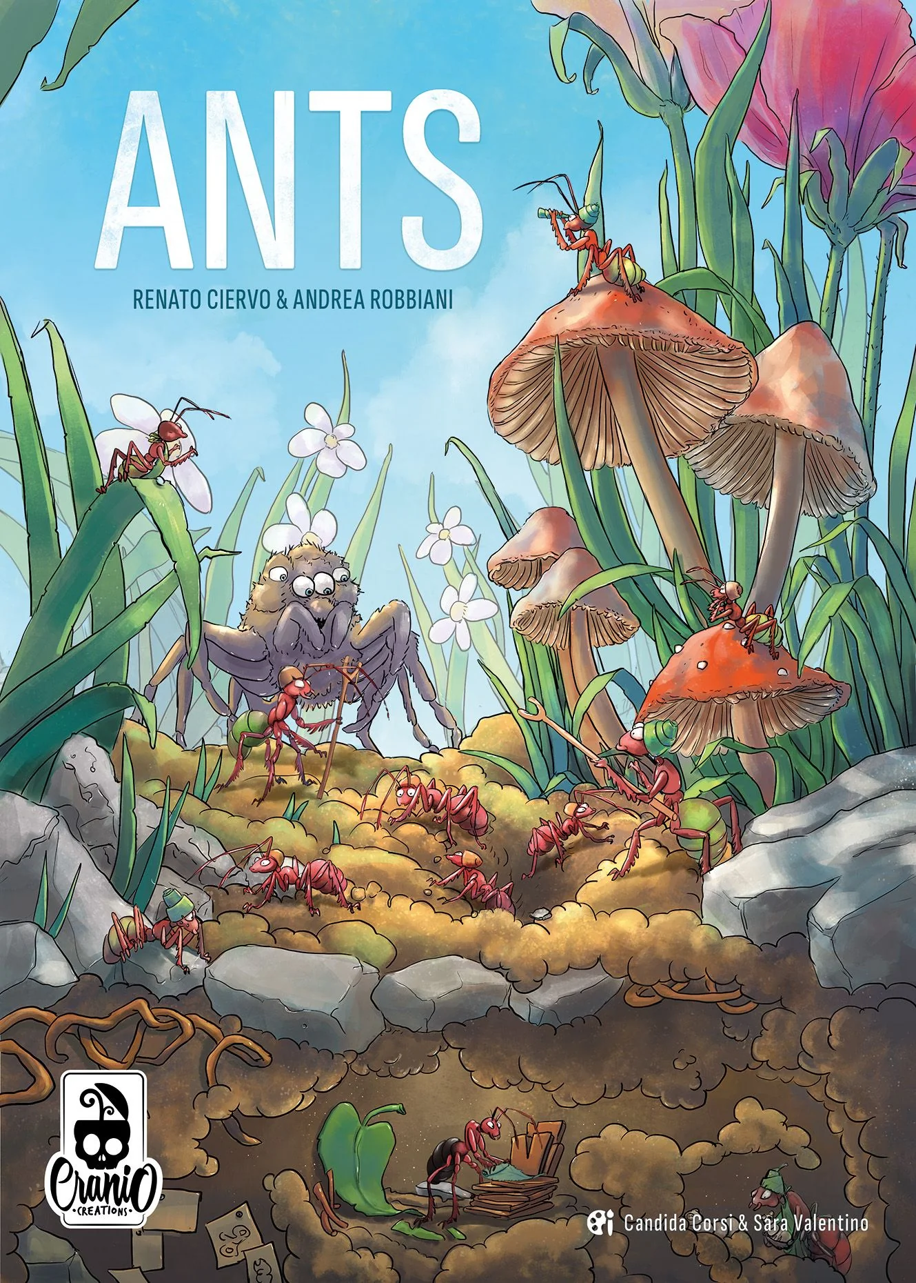 Ants *PRE-ORDER*