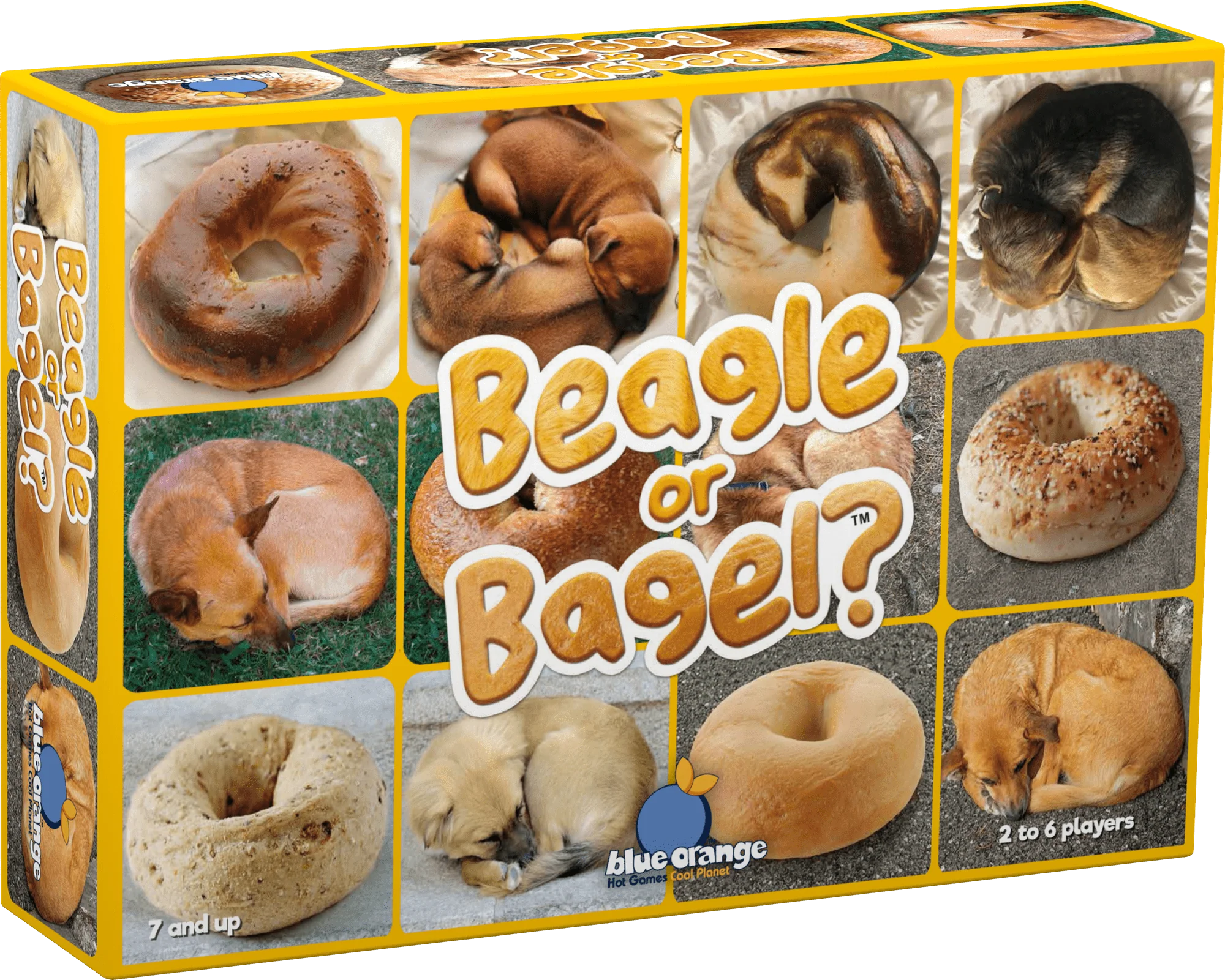 Beagle or Bagel?