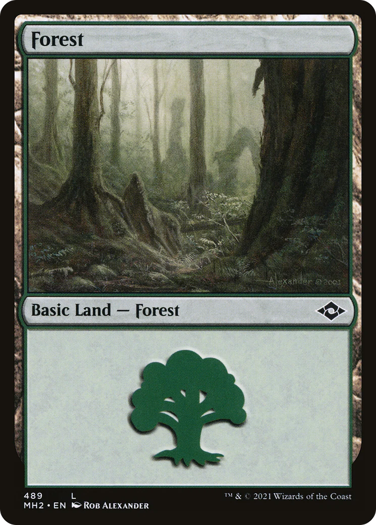 Forest (MH2-489) - Modern Horizons 2 Foil [Common]