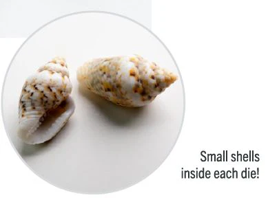 Gamegenic: Embraced Series: Summer Time Dice Set (7pcs) - Image 3