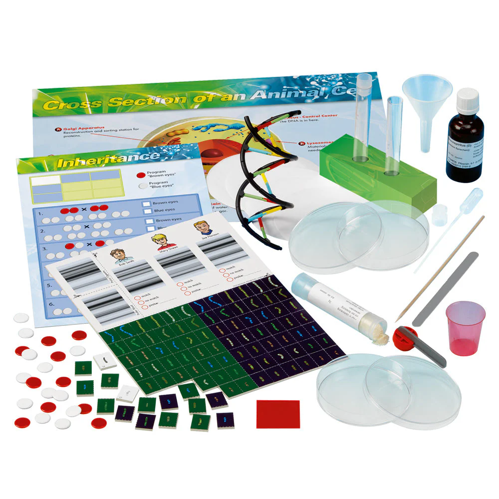 Genetics & DNA Lab *PRE-ORDER* - Image 2