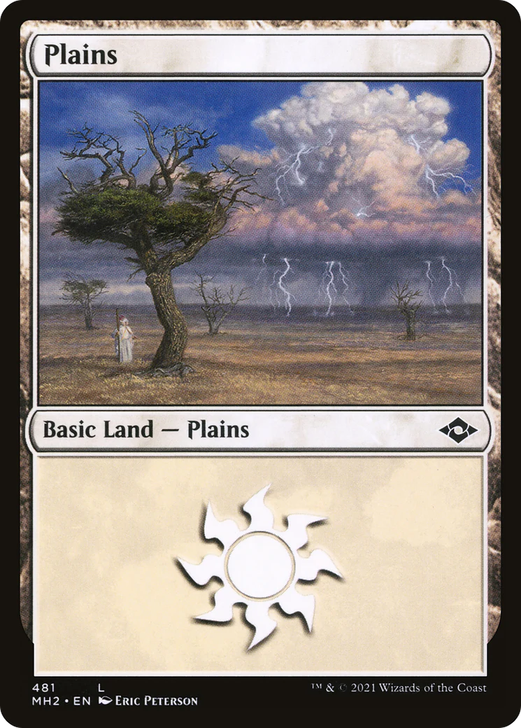 Plains (MH2-481) - Modern Horizons 2 Foil [Common]