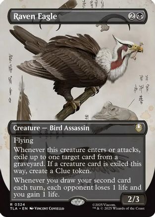 Raven Eagle (Borderless) (TLA-324) - Avatar: The Last Airbender Foil [Rare]