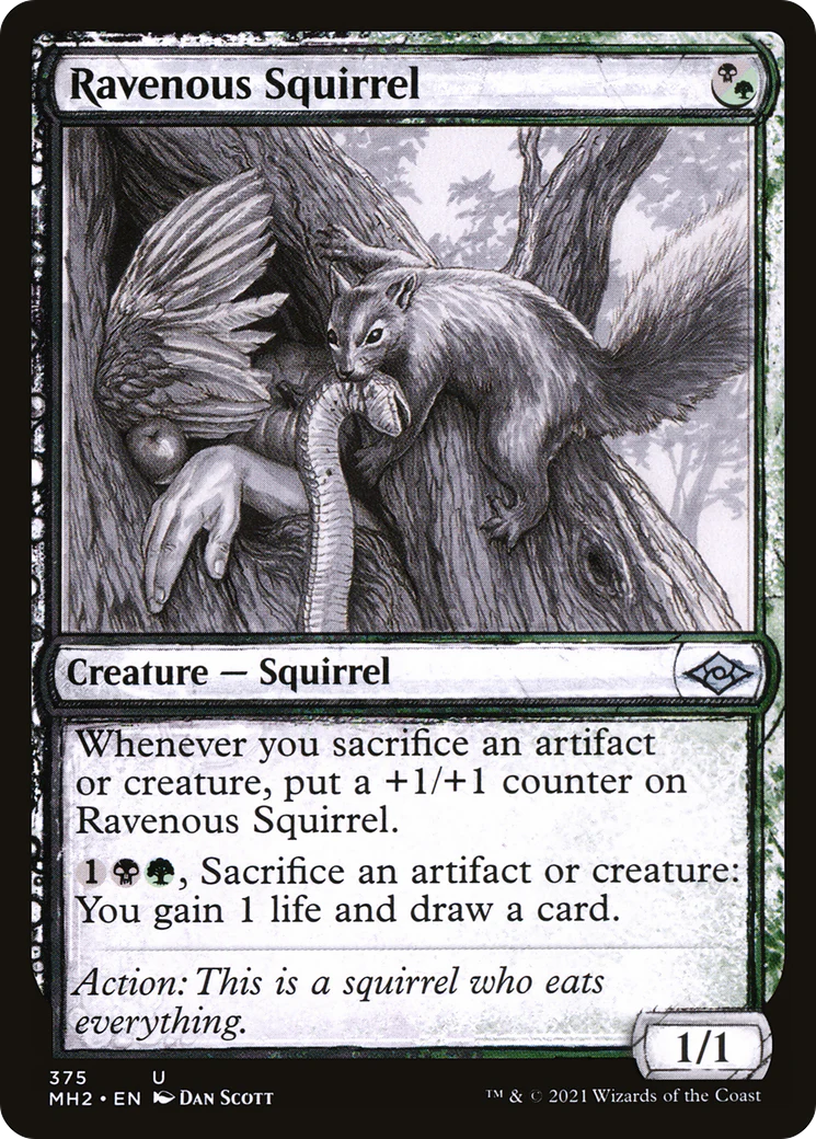 Ravenous Squirrel (MH2-375) - Modern Horizons 2: (Showcase) Foil [Uncommon]