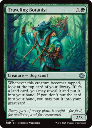 Traveling Botanist (TDM-164) - Tarkir: Dragonstorm Foil [Uncommon]