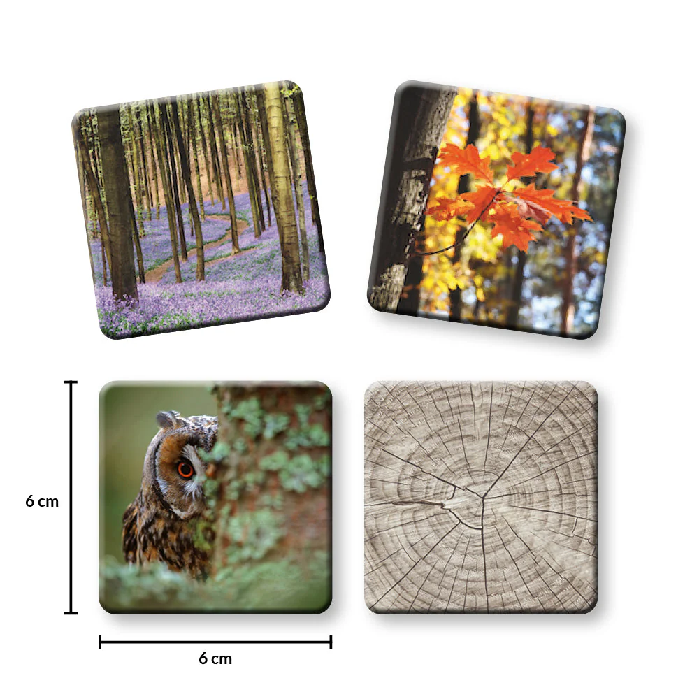 Waldbaden - Memospiel (a.k.a. Forest Swimming Memo Game) (Import) - Image 2
