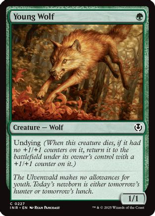Young Wolf (INR-227) - Innistrad Remastered [Common]